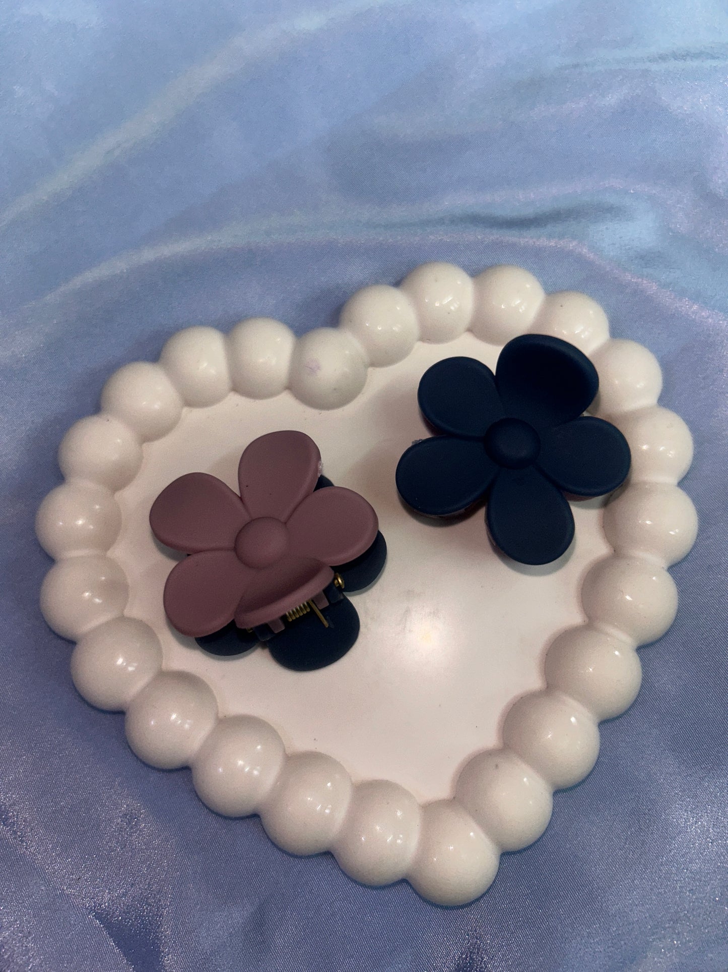 Dual Shade Claw Clips ( Medium Size )