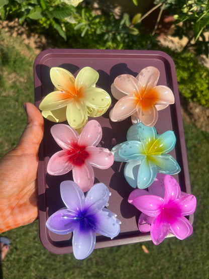 Glossy Floral Big Clutcher ( Set of 2 )