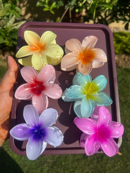 Glossy Floral Big Clutcher ( Set of 2 )