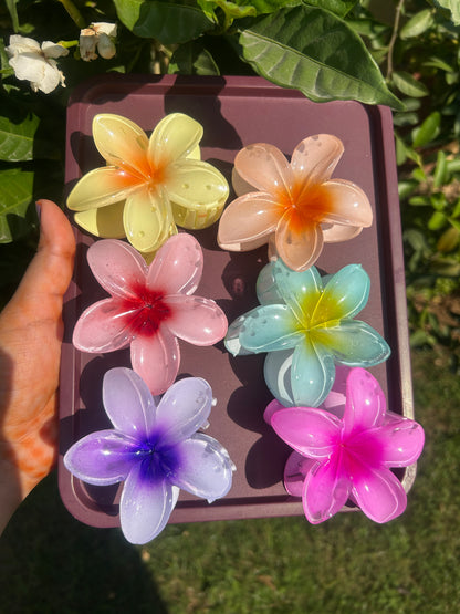 Glossy Floral Big Clutcher ( Set of 2 )