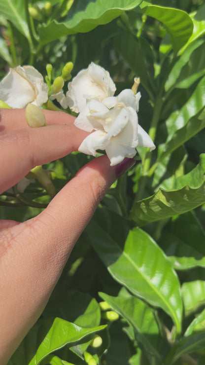 Oxidised Rainbow Cocktail Ring